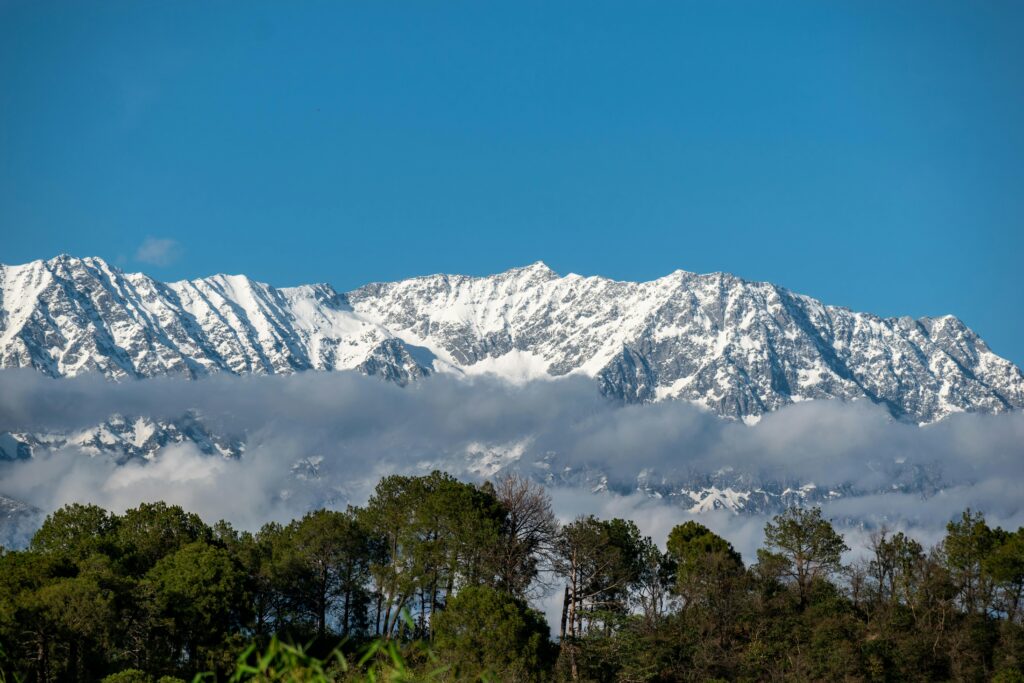Stunning scenic view of snowcapped mountains beneath a clear blue sky with lush greenery below.