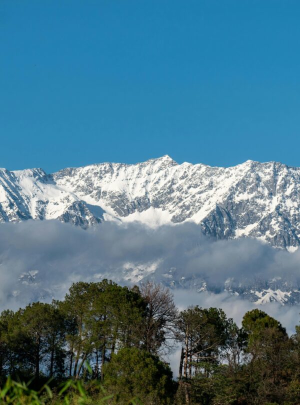 Stunning scenic view of snowcapped mountains beneath a clear blue sky with lush greenery below.