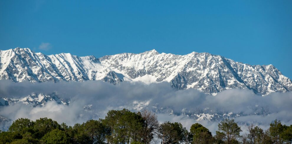 Stunning scenic view of snowcapped mountains beneath a clear blue sky with lush greenery below.