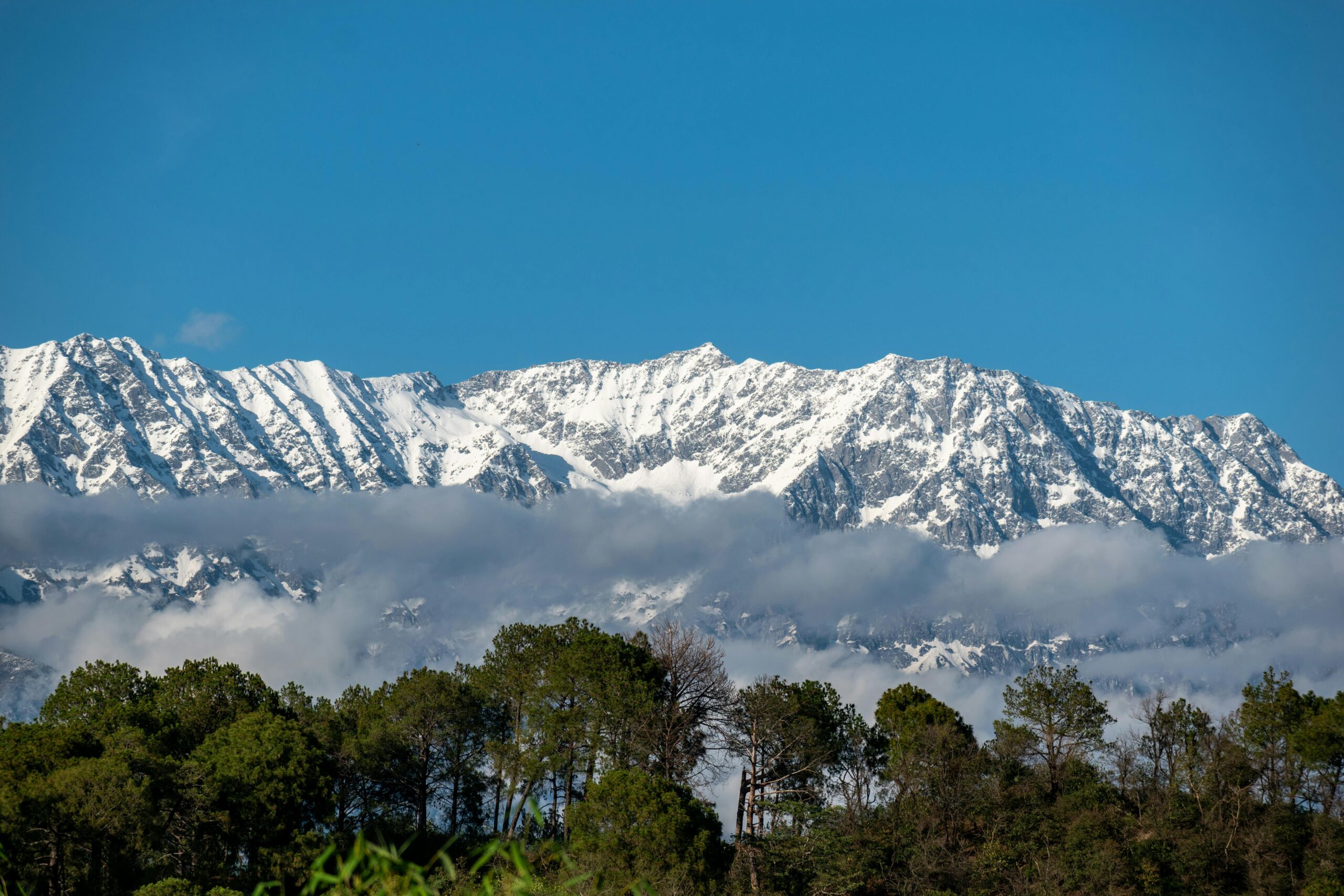 Stunning scenic view of snowcapped mountains beneath a clear blue sky with lush greenery below.