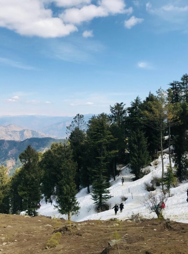 Scenic winter landscape in Kufri, India, featuring snow, hills, and people strolling through pine forests.