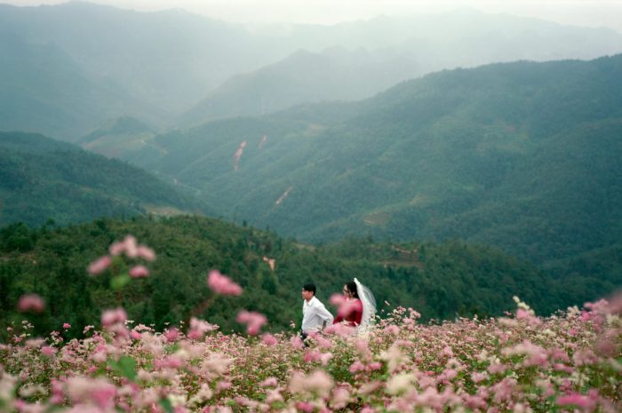 pexels-qhung999-29863314